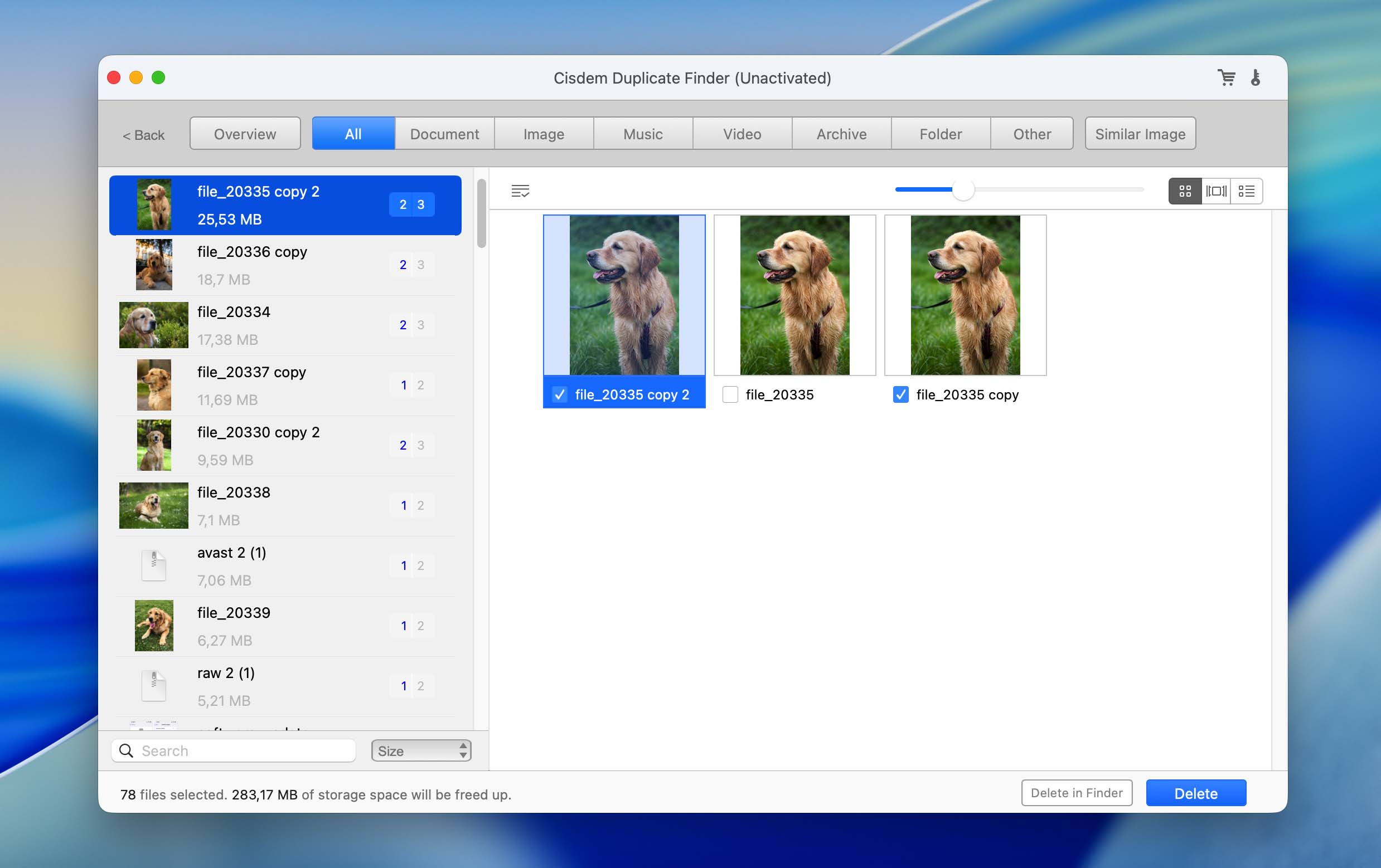 Cisdem Duplicate Finder overview of duplicate file types