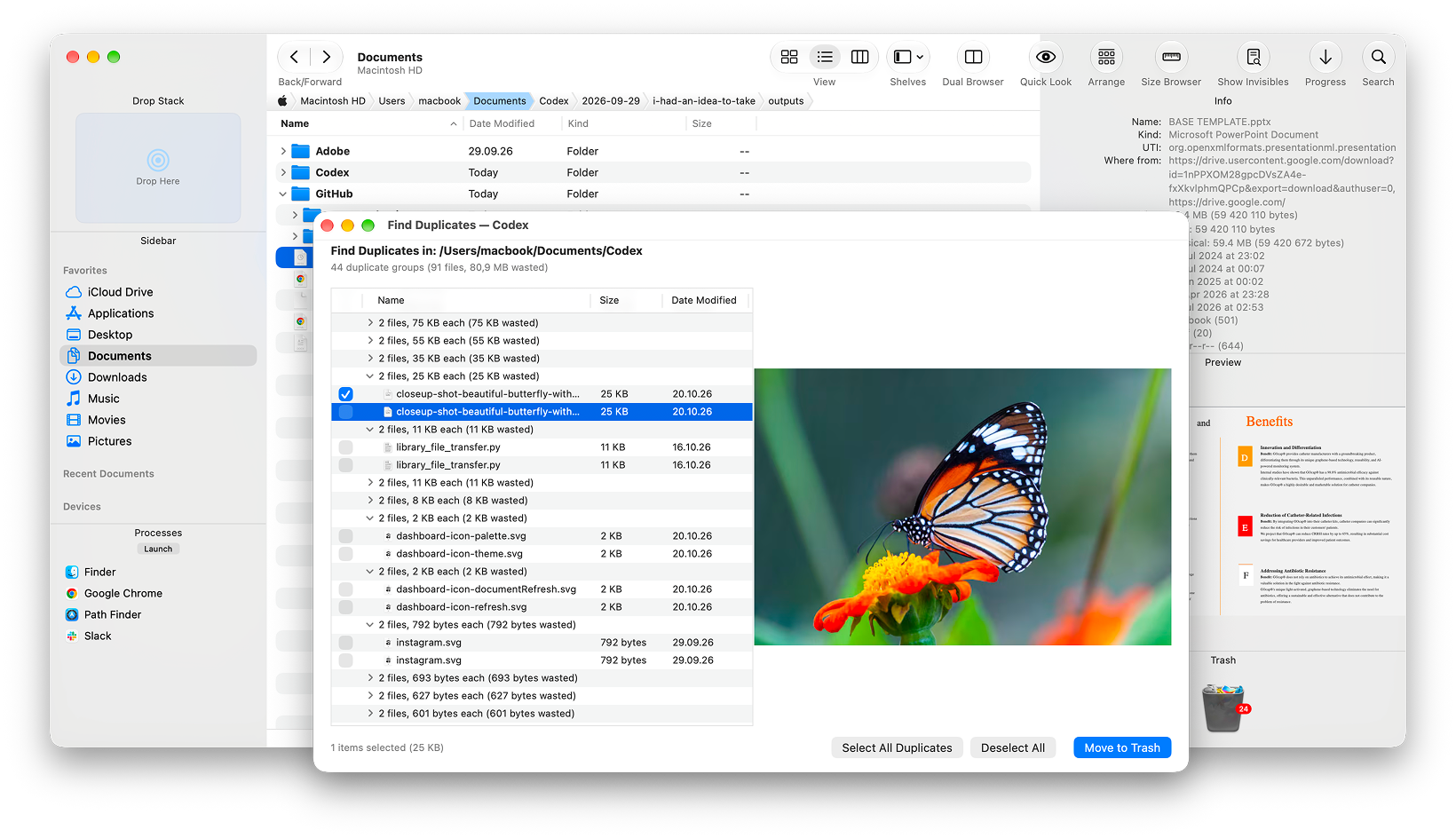Path Finder file browser interface